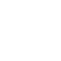 研究报告